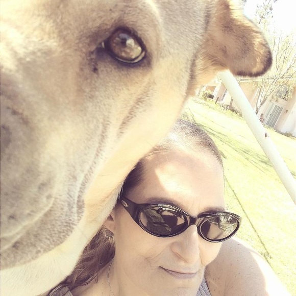 Meet your Poshers, DaPursePlace! - Picture 2 of 15